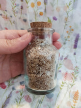 Lade das Bild in den Galerie-Viewer, Pack Especias de la Tierra Media Edición Limitada